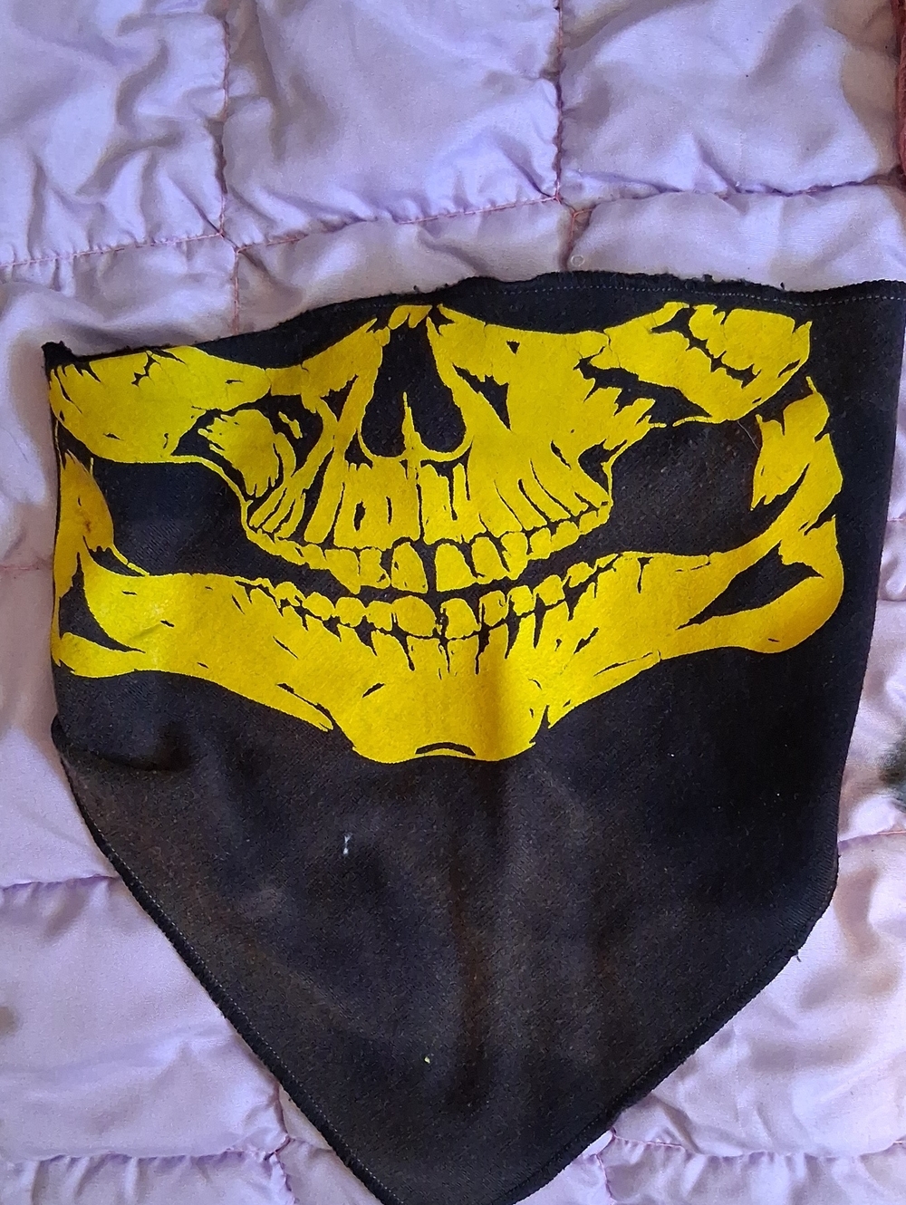 Biker Face Mask